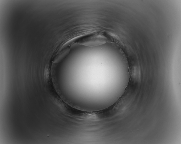 X0000090720715200707201348