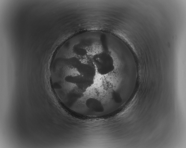 X0000090720721200707201348