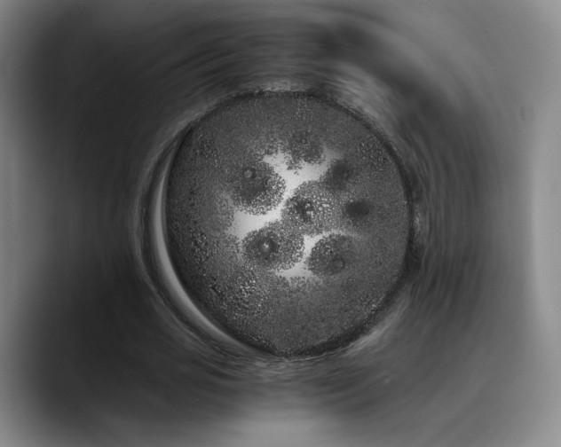 X0000090720725200707201348