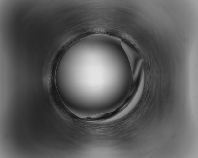 X0000090720728200707201348