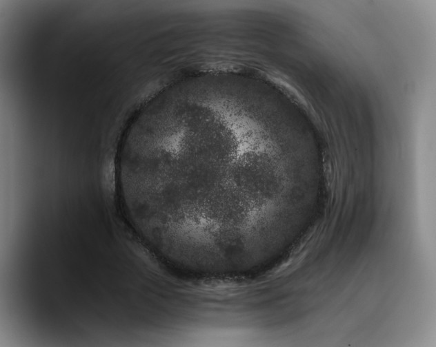 X0000090720729200707201348