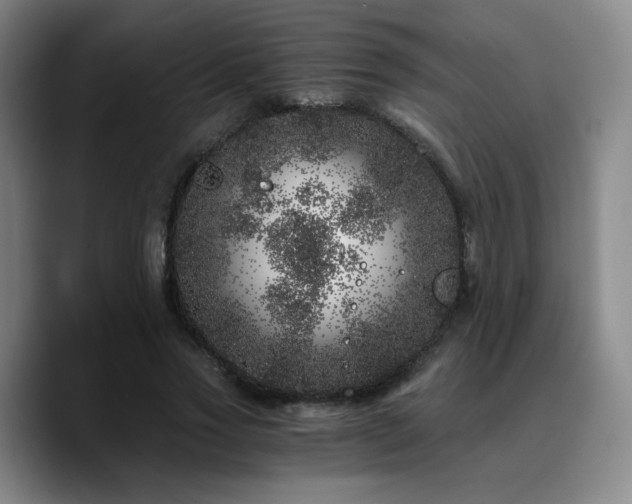 X0000090720733200707201348
