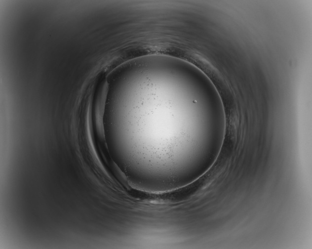 X0000090720734200707201348