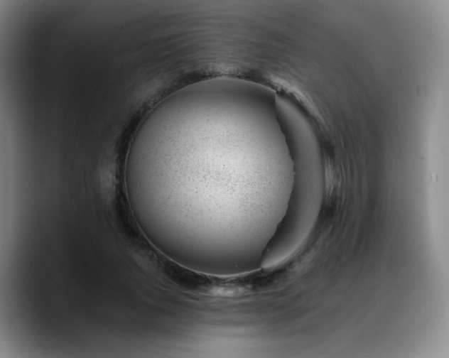 X0000090720736200707201348
