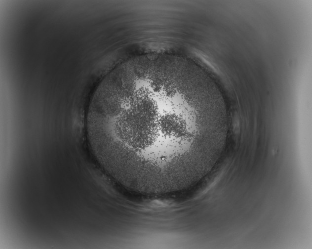 X0000090720737200707201348