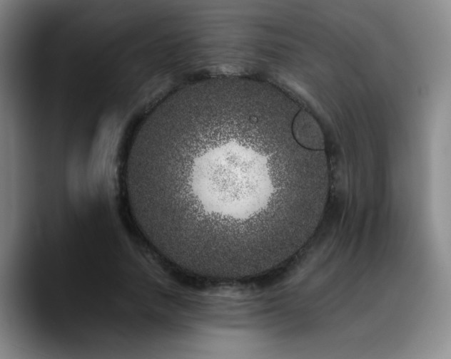 X0000090720738200707201348