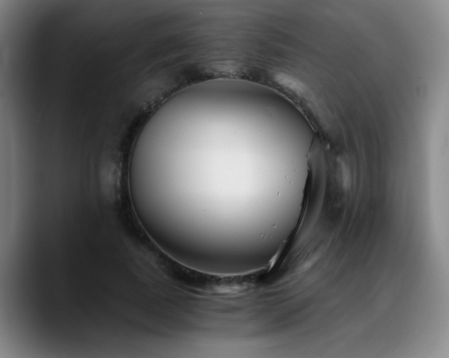X0000090720739200707201348