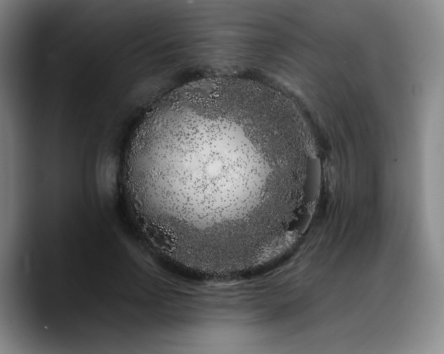 X0000090720742200707201348