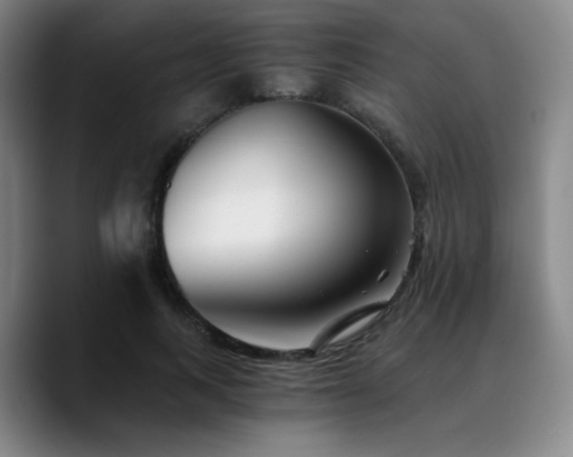 X0000090720743200707201348