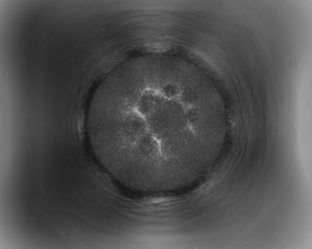 X0000090720745200707201348