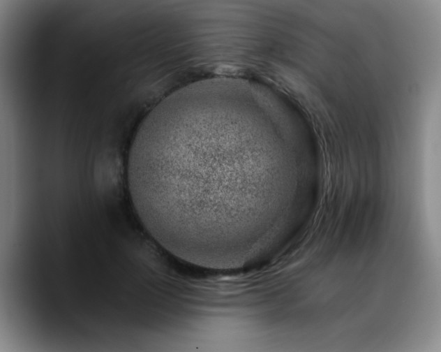 X0000090720748200707201348