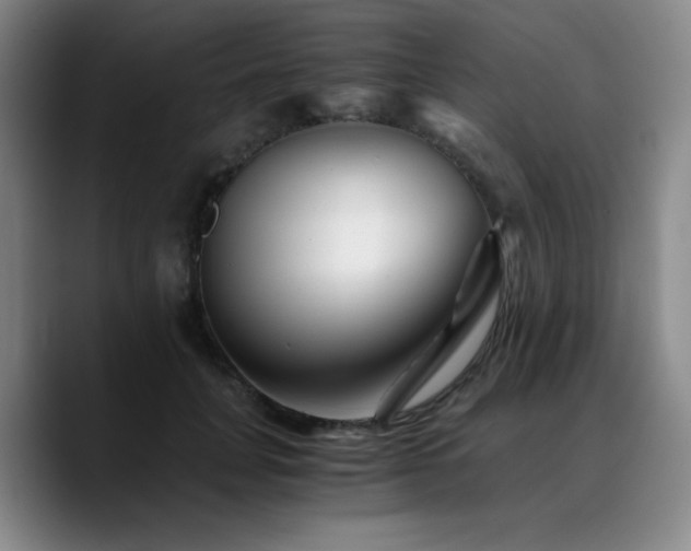 X0000090720751200707201348