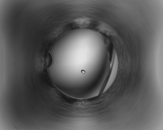X0000090720752200707201348