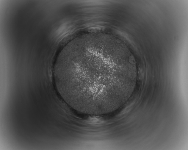 X0000090720753200707201348