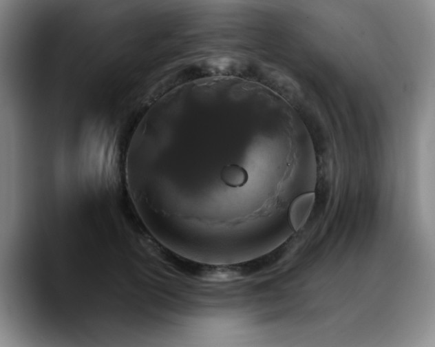 X0000090720754200707201348