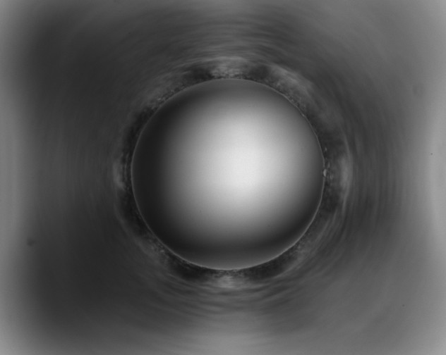 X0000090720755200707201348