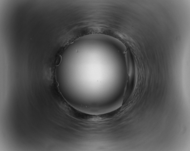 X0000090720759200707201348