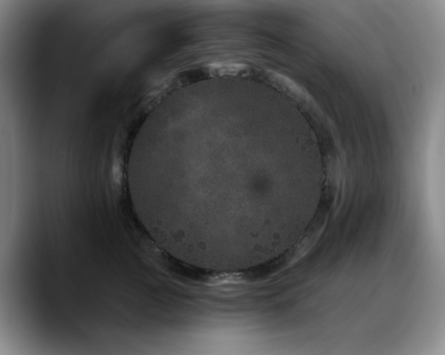 X0000090720761200707201348