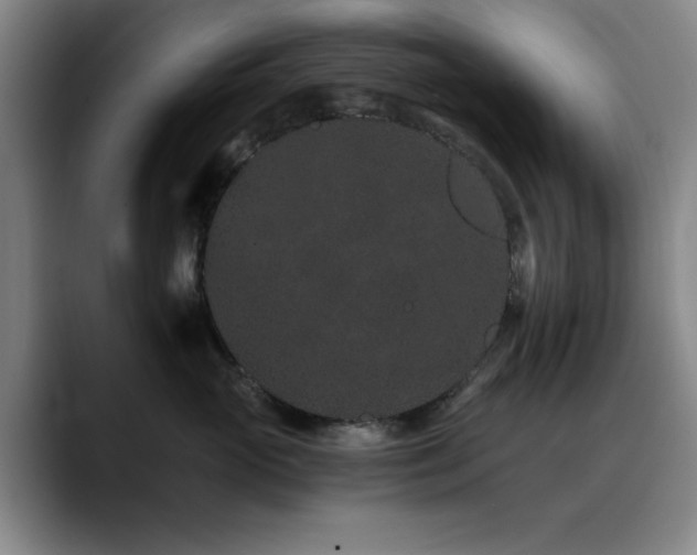 X0000090720765200707201348