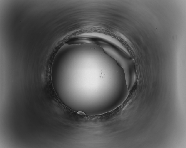 X0000090720775200707201347
