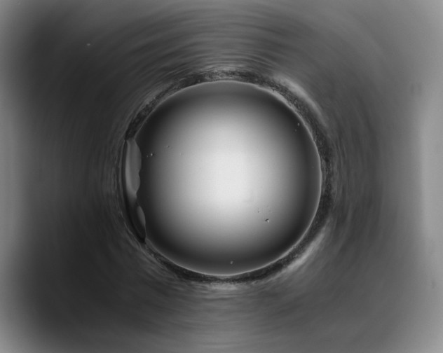 X0000090720777200707201347