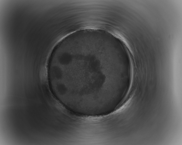 X0000090720779200707201347
