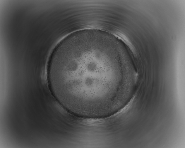 X0000090720780200707201347