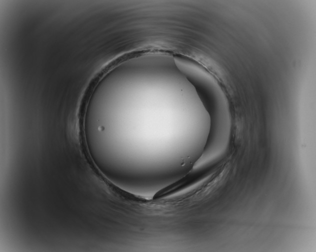 X0000090720784200707201347