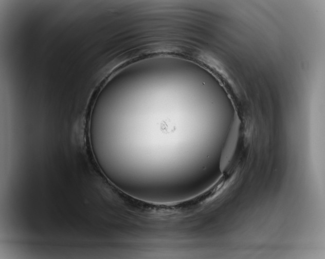 X0000090720786200707201347