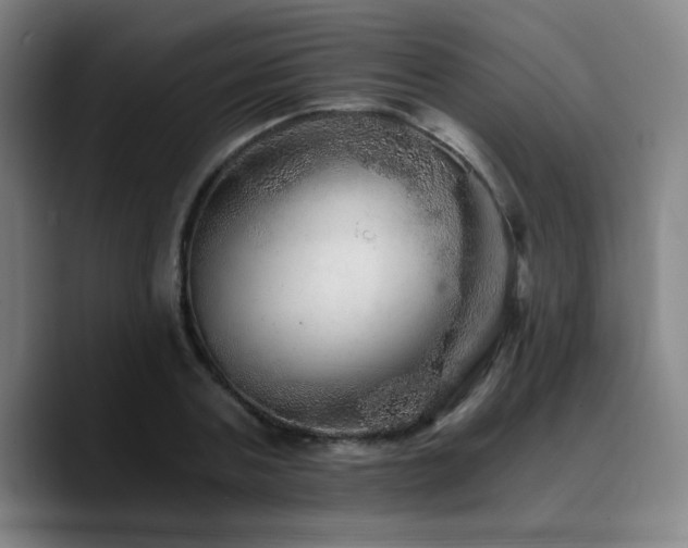 X0000090720787200707201347