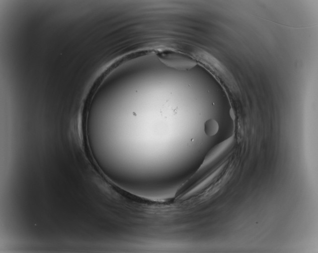 X0000090720788200707201347