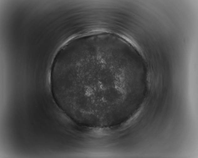 X0000090720790200707201347