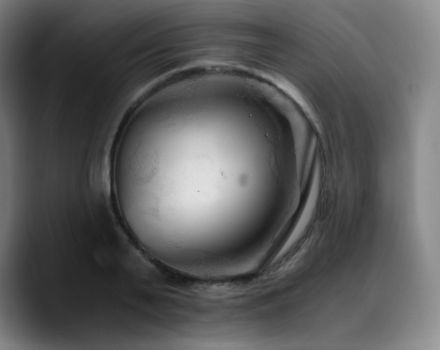 X0000090720791200707201347