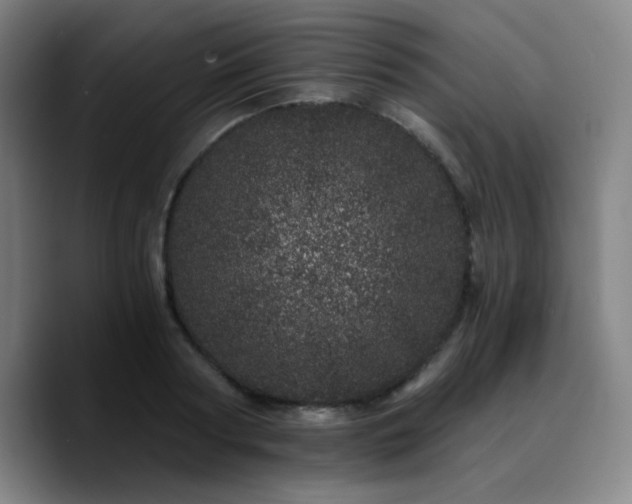 X0000090720794200707201347