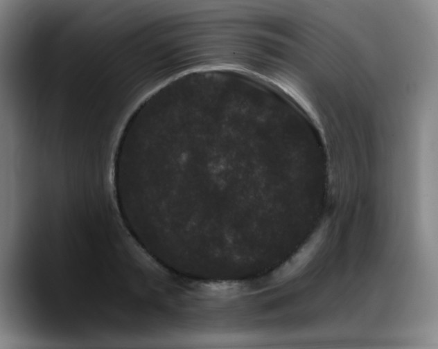 X0000090720797200707201347