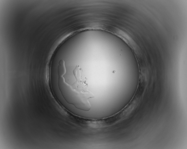 X0000090720804200707201347