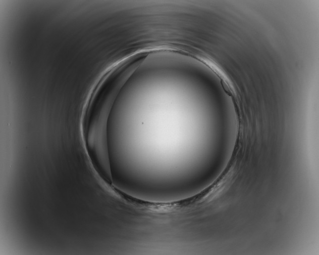 X0000090720813200707201347