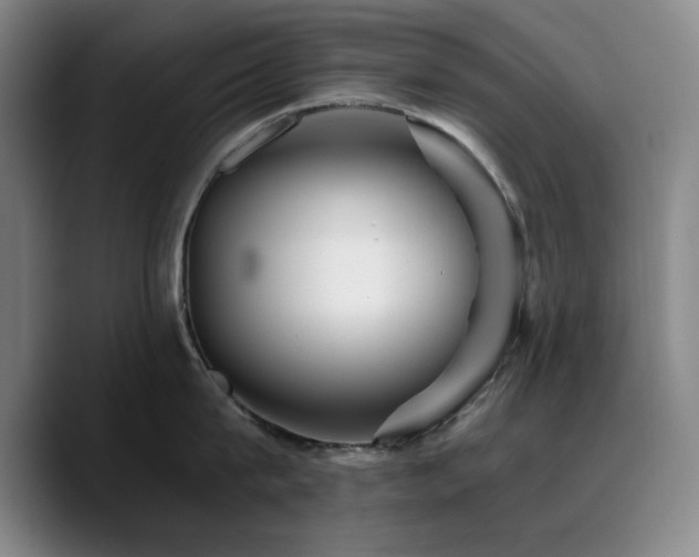 X0000090720815200707201347