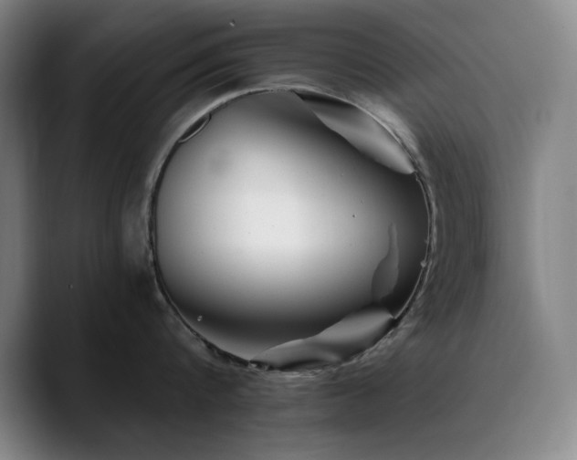 X0000090720816200707201347