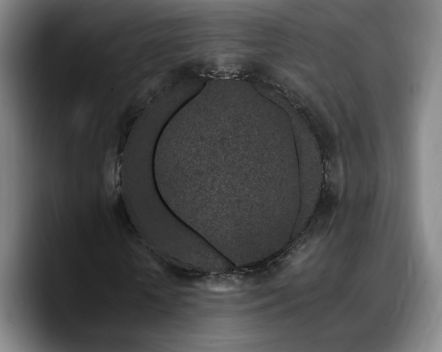 X0000090720818200707201346