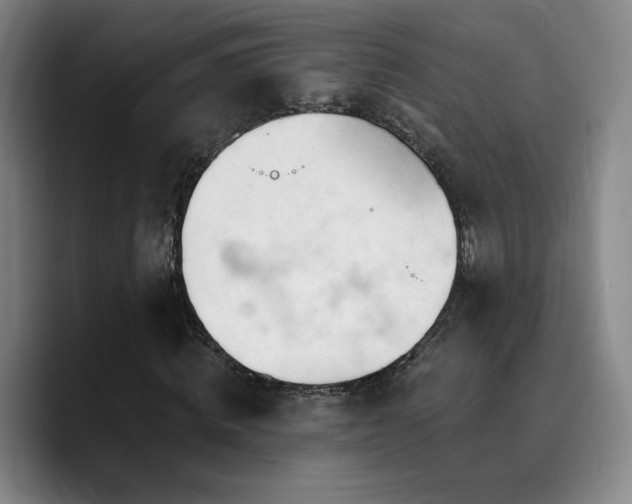 X0000090720820200707201346