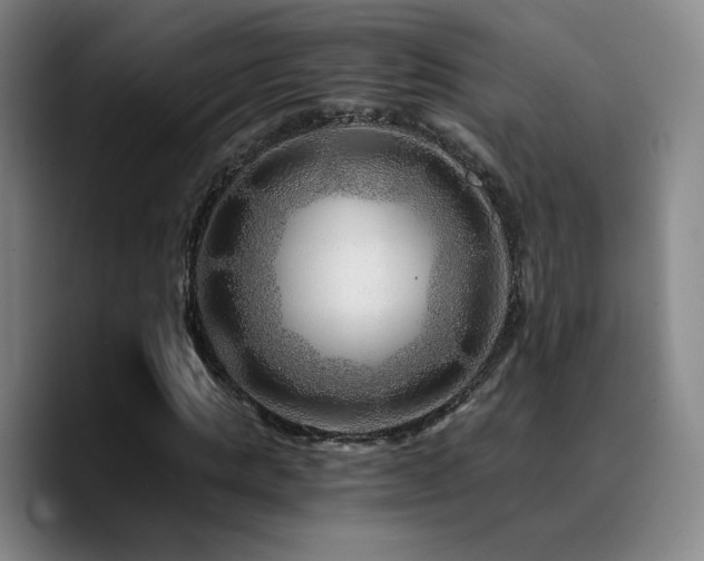 X0000090720821200707201346