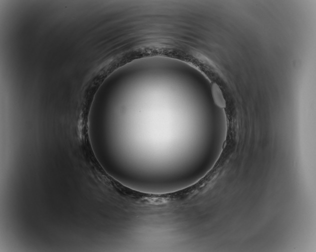 X0000090720822200707201346