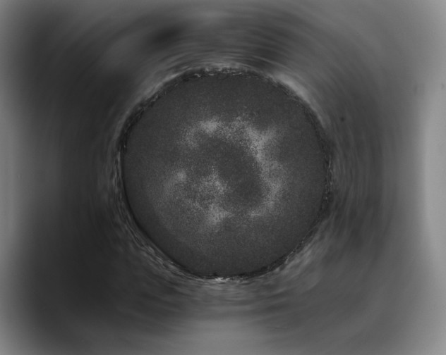 X0000090720823200707201346