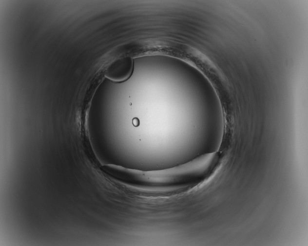 X0000090720825200707201346