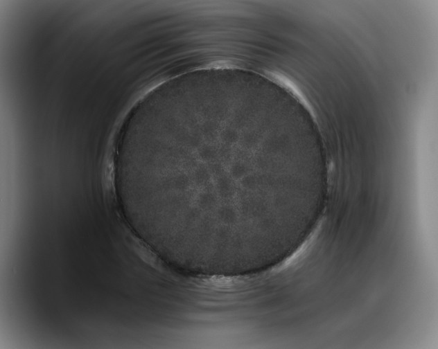 X0000090720827200707201346