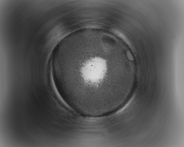 X0000090720829200707201346