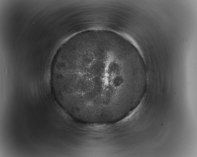 X0000090720831200707201346
