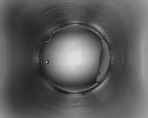 X0000090720833200707201346