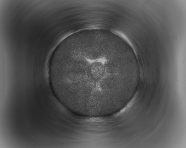 X0000090720835200707201346